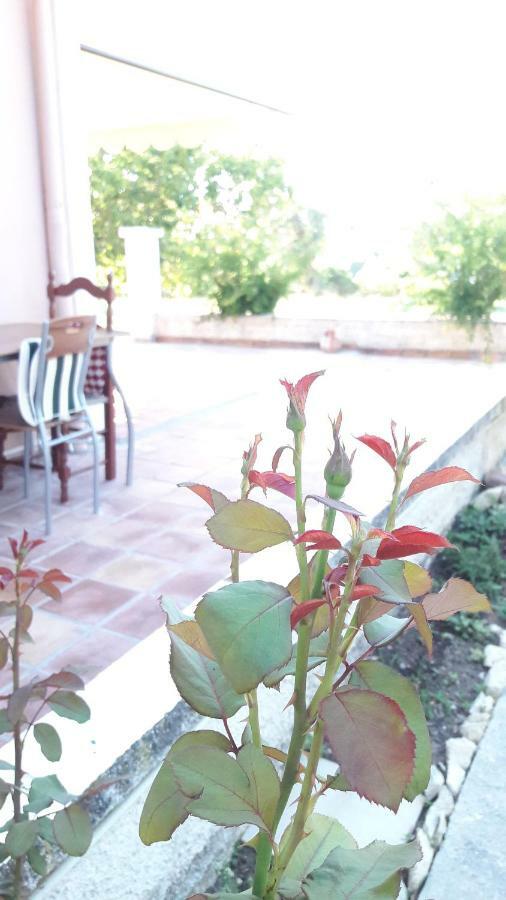 Dhorizáta Country House Kefalonia المظهر الخارجي الصورة
